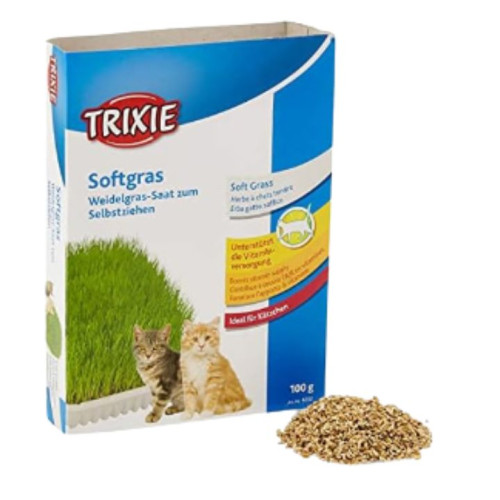 عشب ناعم للقطط Soft Cat Grass