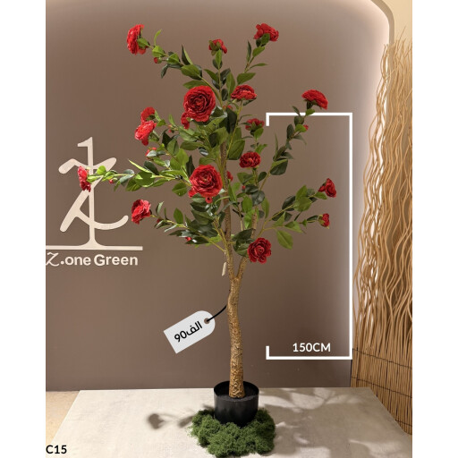 شجرة الروز الاحمر red rose