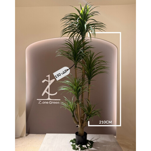 شجرة اليوغا yoga tree