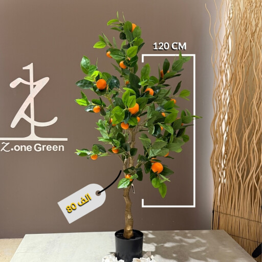شجرة البرتقال orange tree