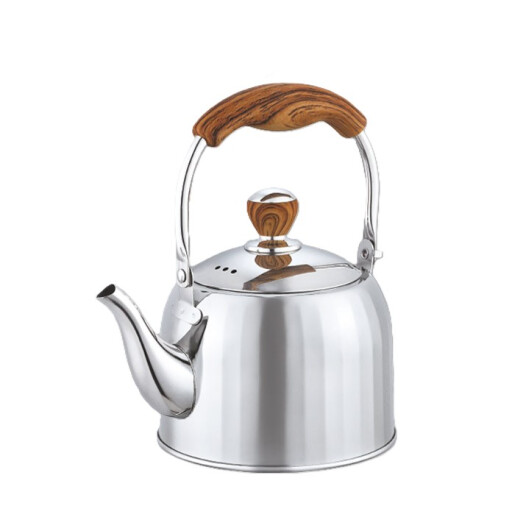 إبريق شاي من الفولاذ المقاوم للصدأ Stainless Steel Teapot