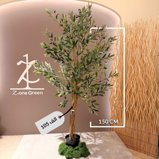 شجرة الزيتون olive tree