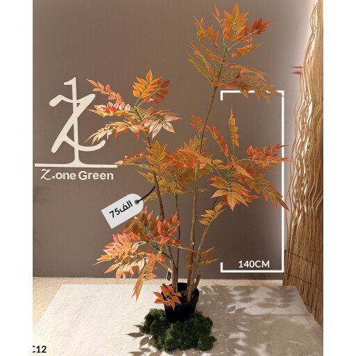 شجرة السماك sumac tree