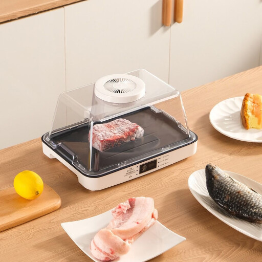 جهاز اذابة التجميد Thawing Food Defrosting Machine
