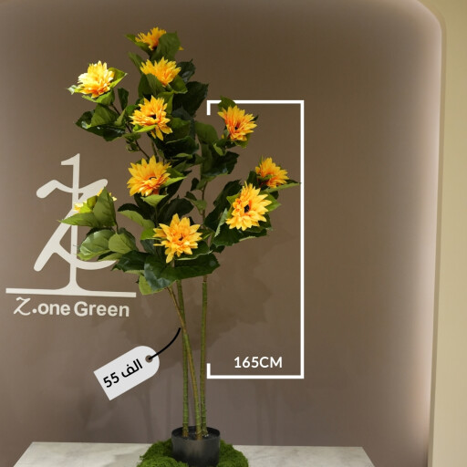 شجرة عباد الشمس SUNFLOWER TREE