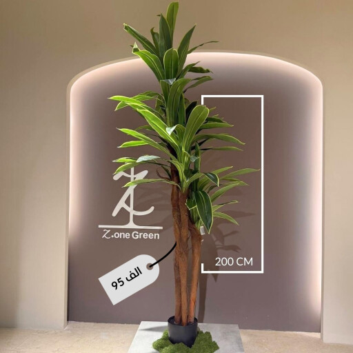 شجرة الموز banana tree