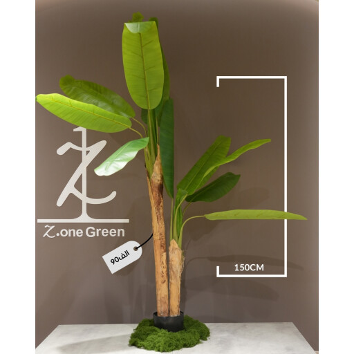 شجرة الموز banana  tree