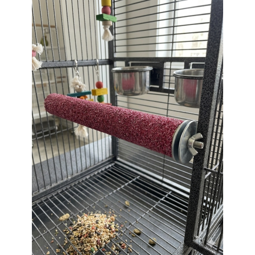 مجثم لوقوف الطير Parrot Nail
