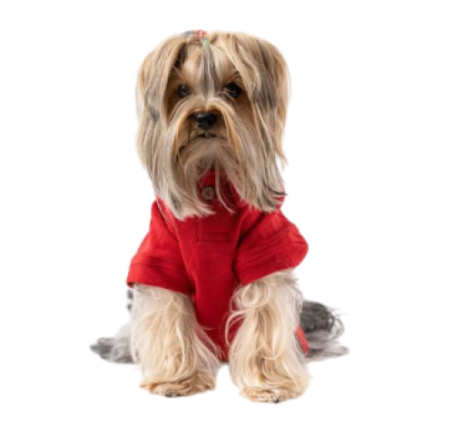 تيشيرت مريح للكلاب الصغيرة Casual Dog T-Shirt for Small Dogs