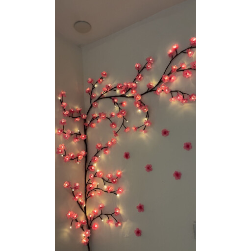 شجرة الساكورا rose branches