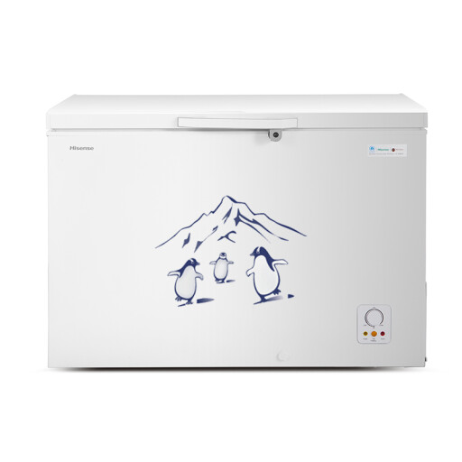 مجمدة أفقية – 310 لتر Chest Freezer – 310 L