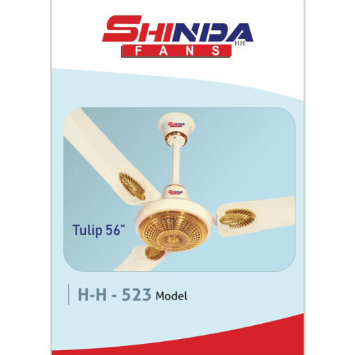 مروحة سقف باكستاني Wall fan