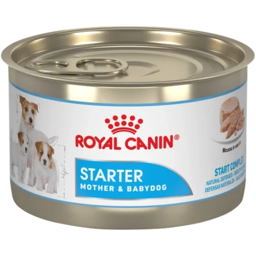Royal Canin الأم والطفل Royal Canin Mother and Baby Dog