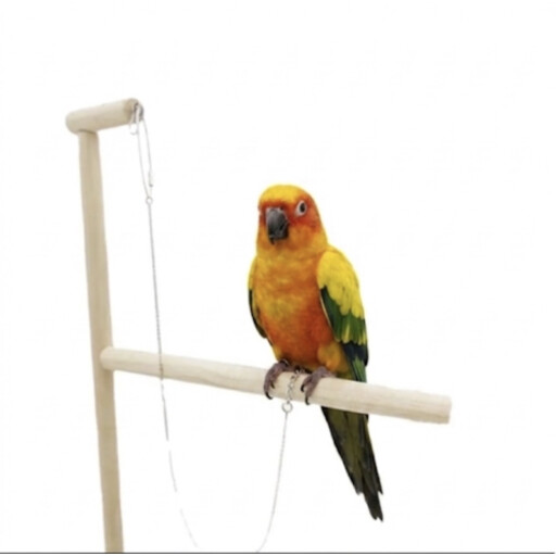 زنجيل للطيور Bird Leg Leash