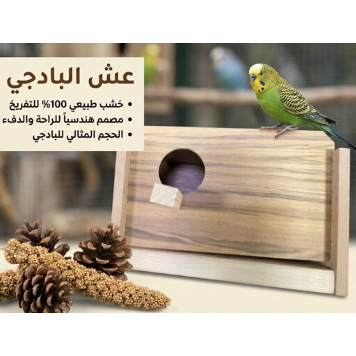 بيت خشب ل طيور البادجي Wooden house for budgie birds