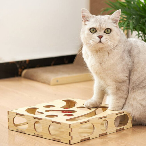 العاب الكرة الخشبية للقطط Wooden Cat Ball Toy