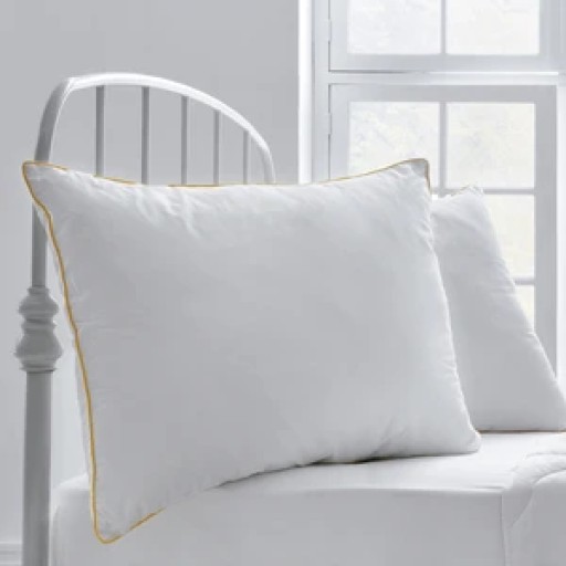وسادة داكرون® هولوفيل® أليربان® DACRON HOLLOFIL ALLERBAN PILLOW 50X70 (580 G)