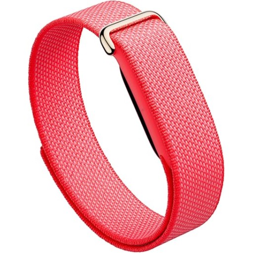 جوجل فيتبت إير Google Fitbit Air
