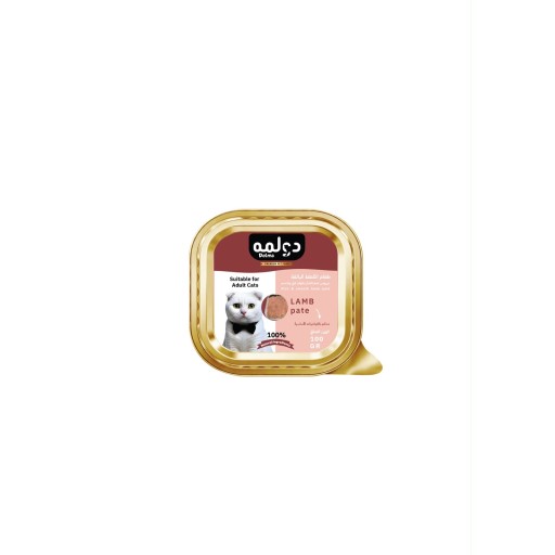 مربعات دولمه لحم باتي Dolma meat squares