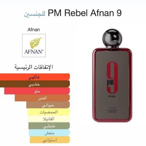 ناين بي ام ريبل100مل Pm9Rebel