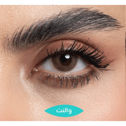 عدسات تركواز التجميلية عسلي – والنت Turquoise Cosmetic Contact Lenses – Walnut