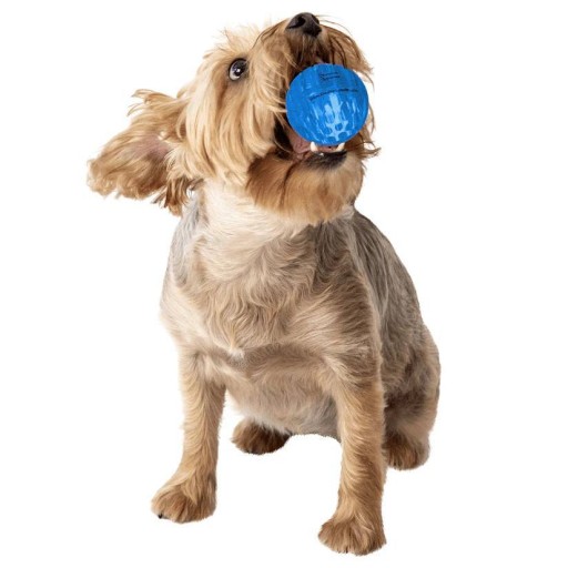 ألعاب الكلاب Dog Toy