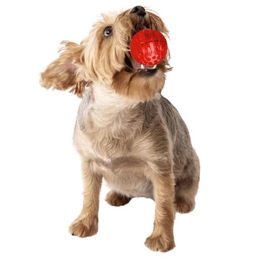 ألعاب الكلاب Dog Toy