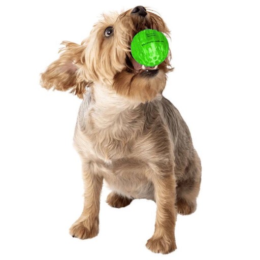 ألعاب الكلاب Dog Toy