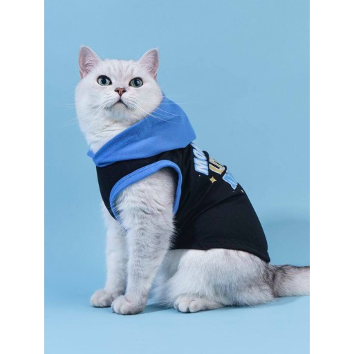ملابس هوديي Hoodie