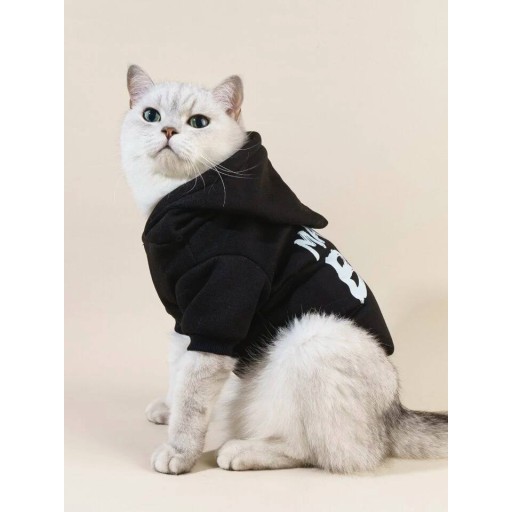 ملابس هوديي Hoodie
