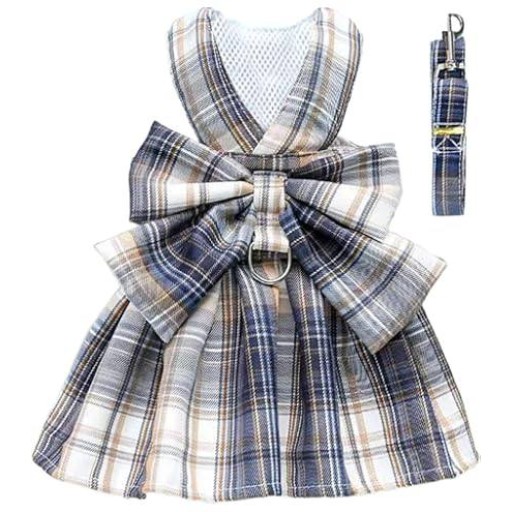 اللباس Dress