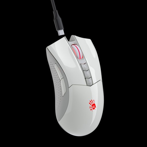 بلودي Bloody Mouse Bloody