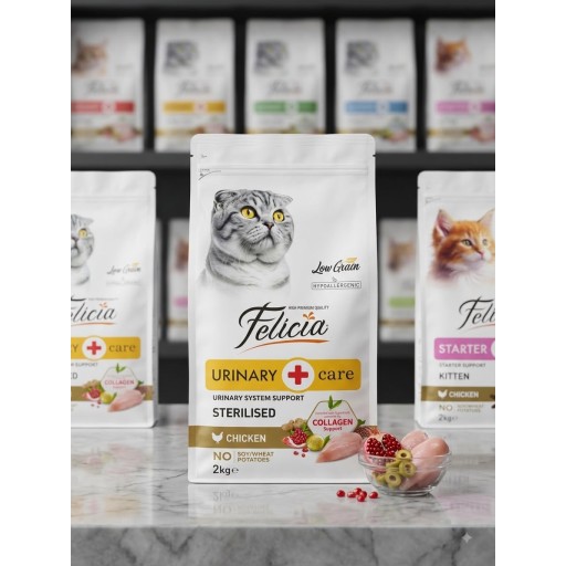 دراي فود فليسيا Felicia