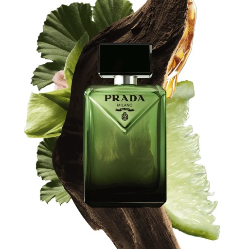 عطر بارادايم أودي بارفيوم 100 مل Paradigme EDP 100 ml