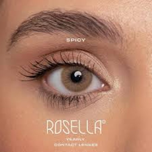 عدسات اللاصقة السنوية Annual Contact Lenses