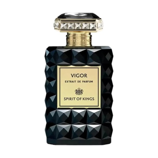 عطر فيجور إكستريت دي بارفيوم 100 مل Vigor Extrait De Parfum 100 ml