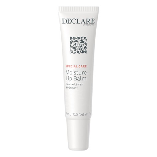 بلسم الشفاه المرطب للعناية الخاصة Special Care Moisture Lip Balm