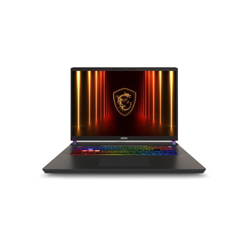 MSI MSI Vector 17 Hx