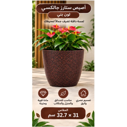 أصيص زهور مجرة النجوم 32.7×31 سم Star Galaxy Flower Pot 32.7×31 cm