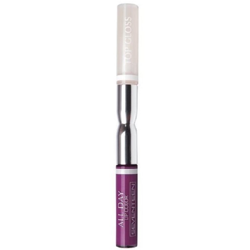 حمرة سائلة ثابتة مع ملمع للشفاه All Day Lip Color And Lip Gloss