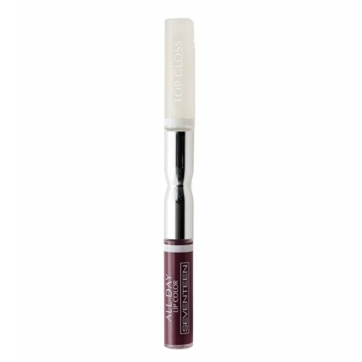 حمرة سائلة ثابتة مع ملمع للشفاه All Day Lip Color And Lip Gloss