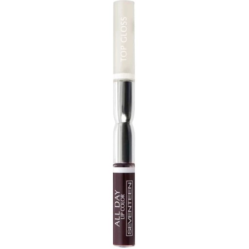 حمرة سائلة ثابتة مع ملمع للشفاه All Day Lip Color And Lip Gloss