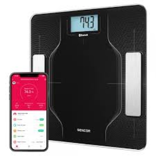 ميزان اشخاص Personal scale