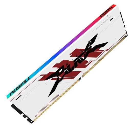 puskill Puskill Rgb 16GB white ram: 16gb