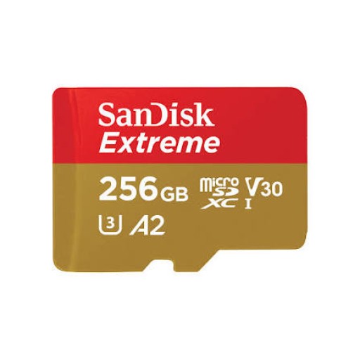 sandisk Sandisk Extreme Sdsqxav 256GB storage: 256gb