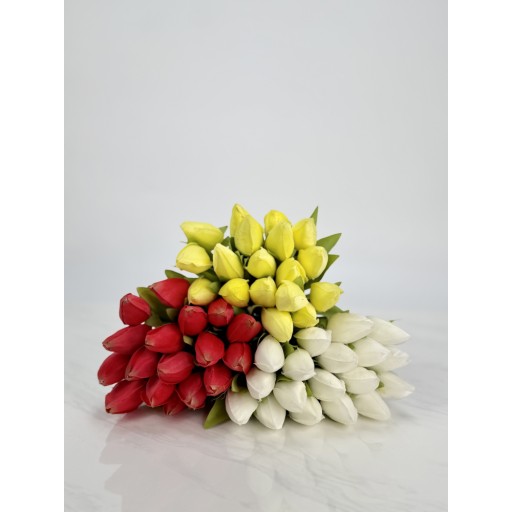 باقة ورد توليب Tulip flower