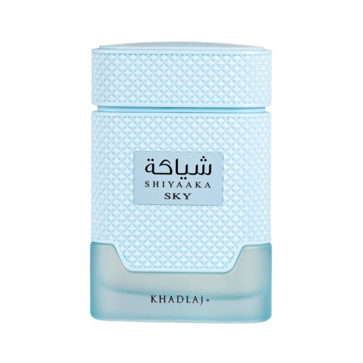عطر شياكة سكاي للرجال Shiyaaka Sky Eau De Parfum